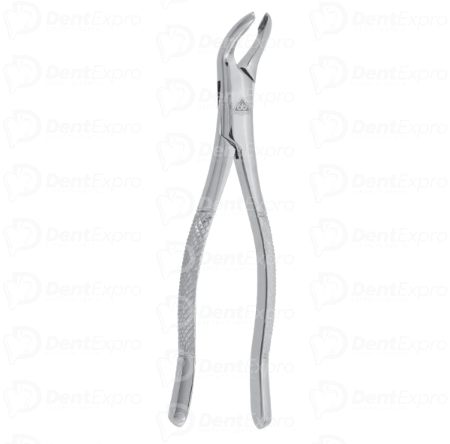 Forcep Adulto #203 6b Invent Germany
