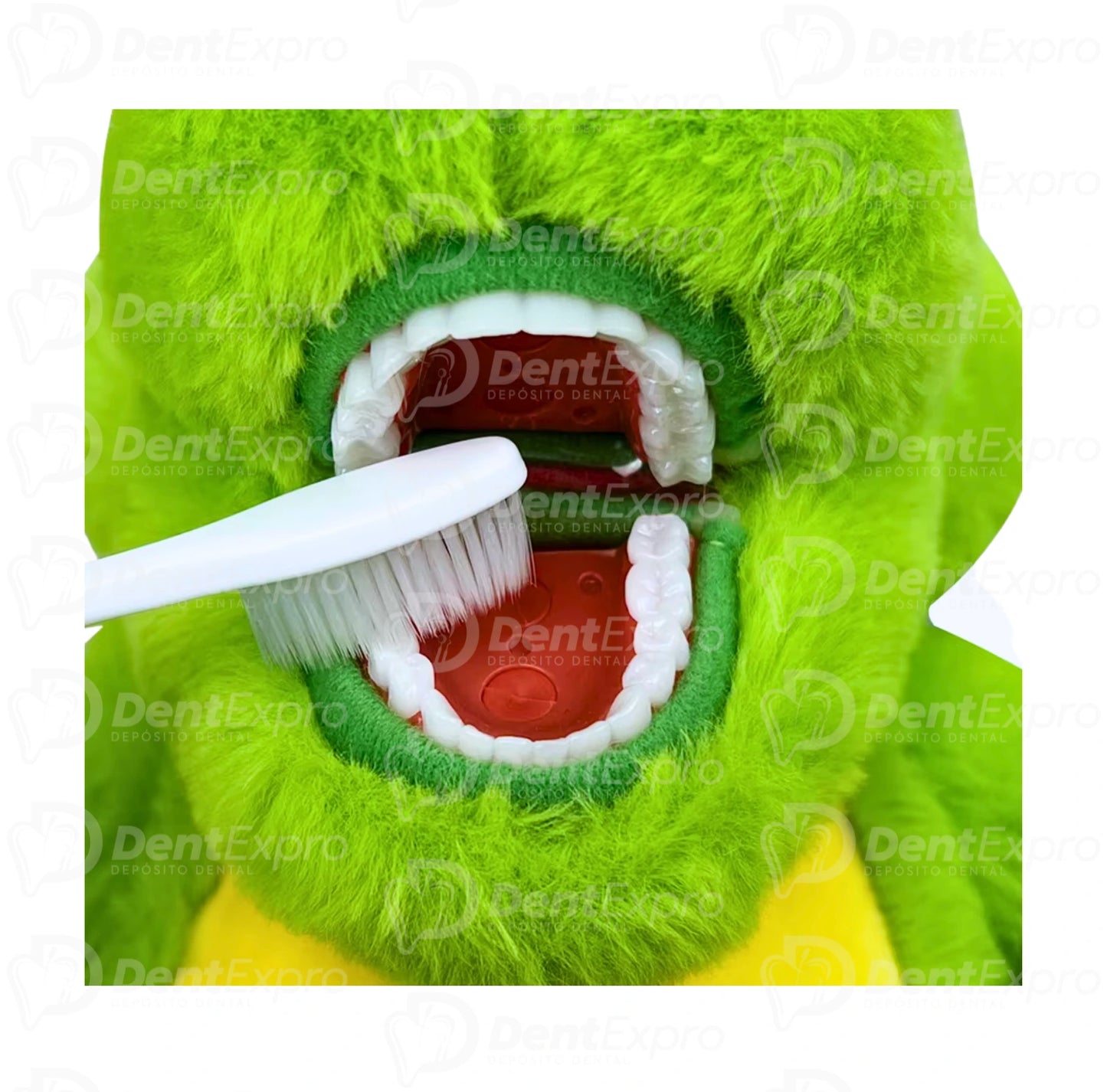 Peluche Didáctico con Tipodonto Dinosaurio