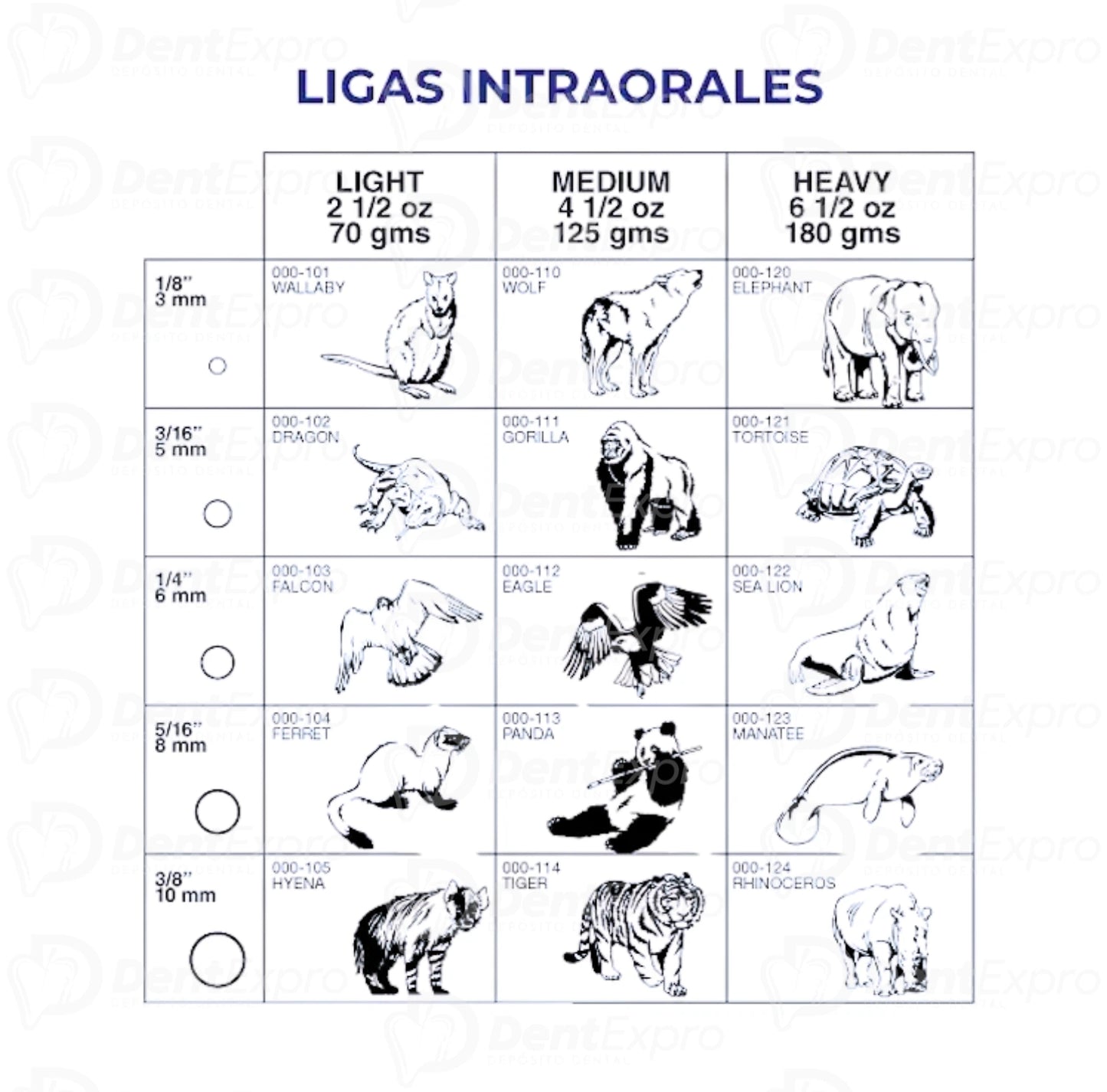 Elásticos Ligas Intraorales American Orthodontics