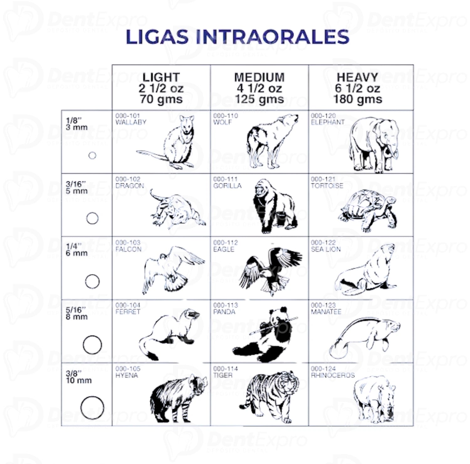 Elásticos Ligas Intraorales American Orthodontics