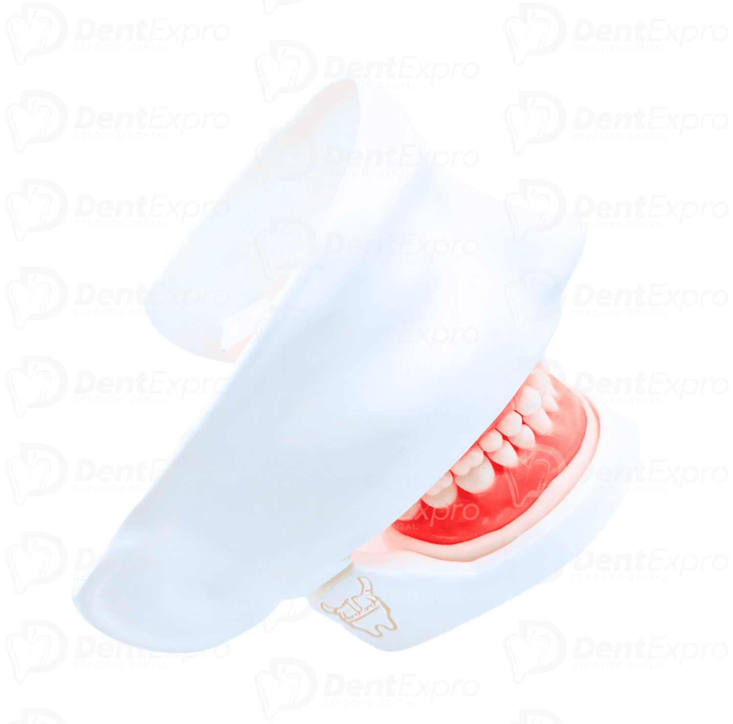 Carodonto Simulador Dentado Valquiria Dental