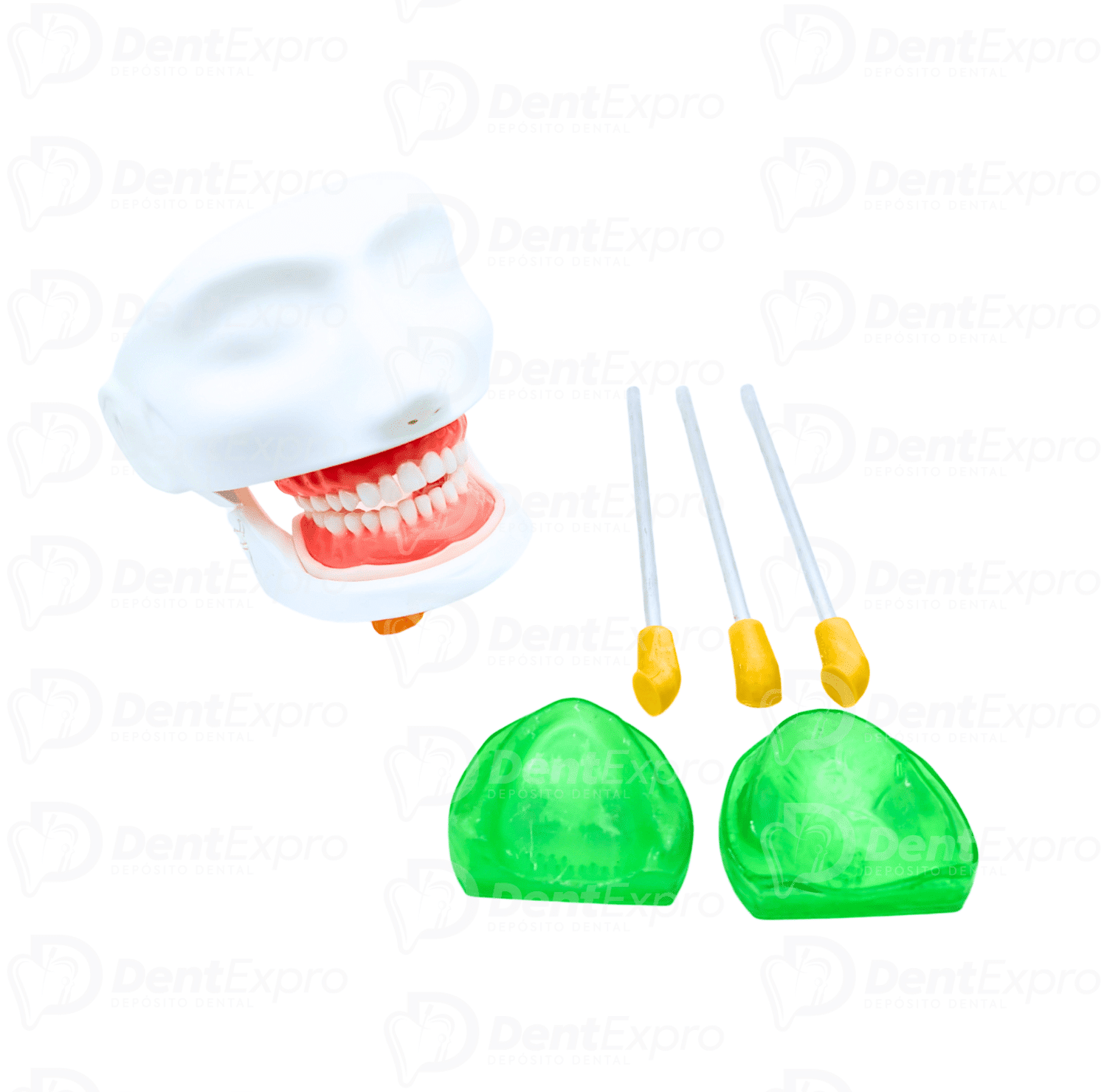 Carodonto Simulador Dentado Valquiria Dental