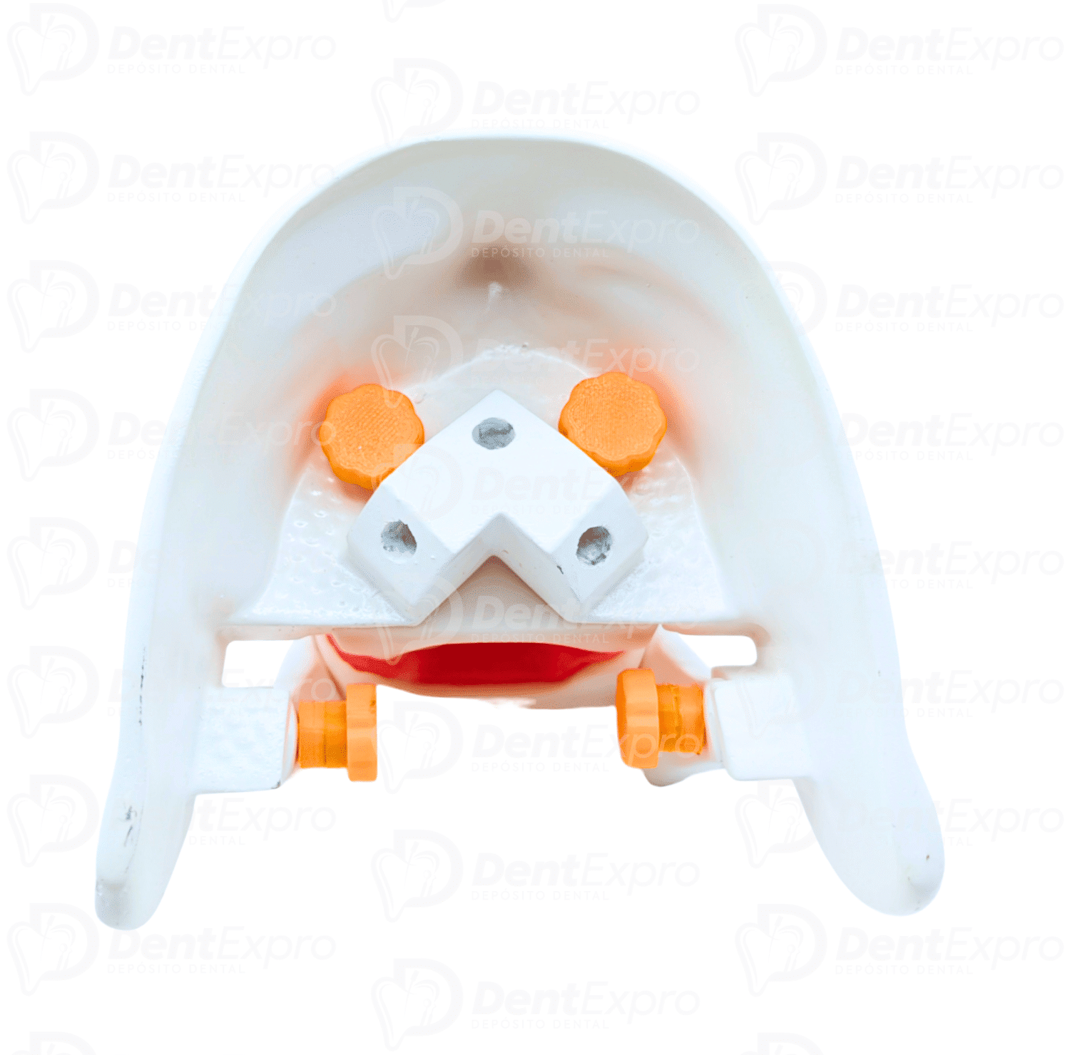 Carodonto Simulador Dentado Valquiria Dental